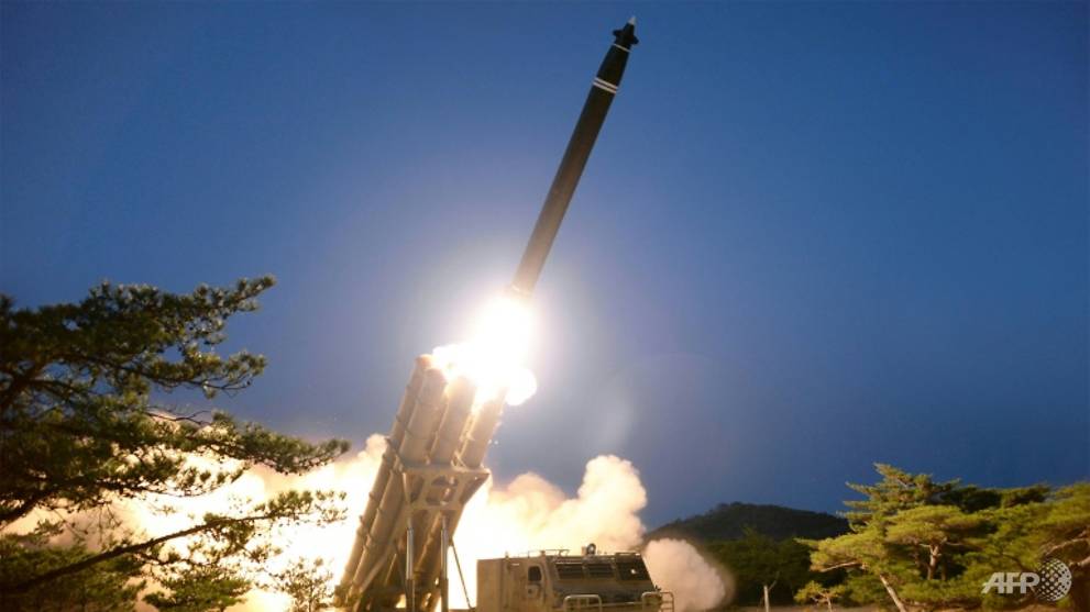 North Korea slams Pompeo and says will 'walk our way'