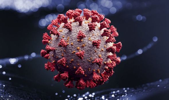 Coronavirus: Over a quarter of French think Covid-19 was created in a lab – shock poll