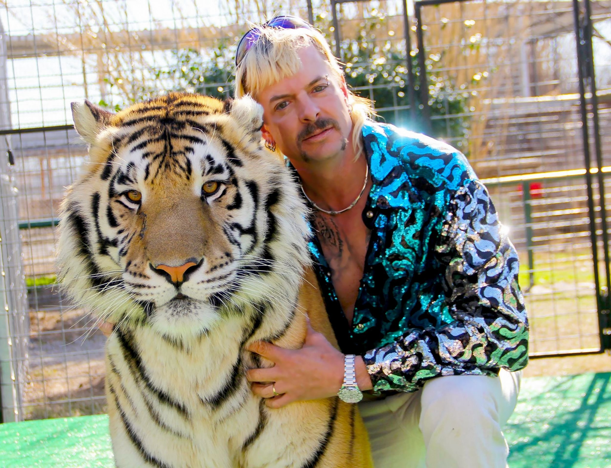 Tiger King breaks Netflix record as world continues to binge Joe Exotic documentary