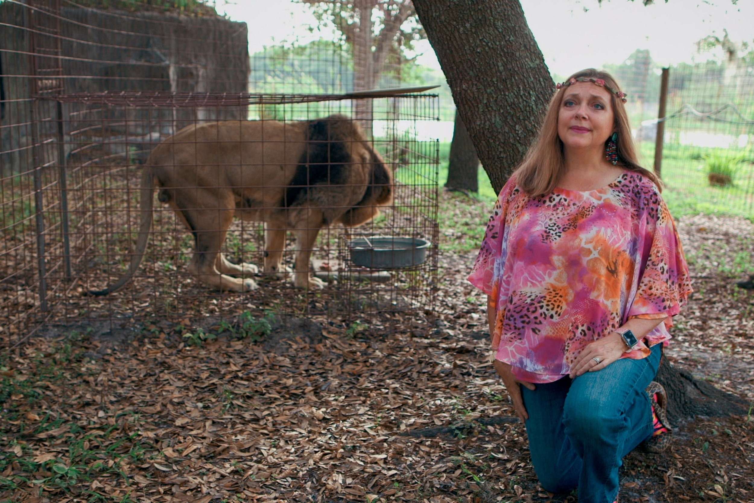 Netflix’s Tiger King could be used to solve case of Carole Baskin’s missing husband