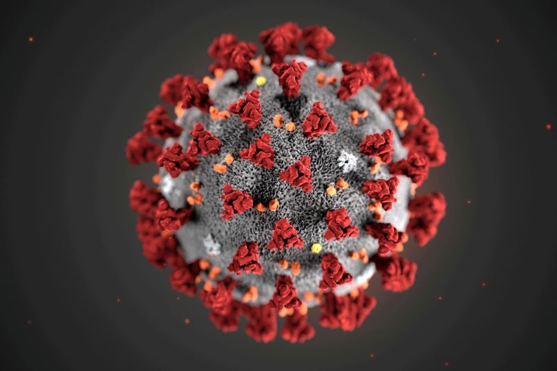 Australia PM says new coronavirus most likely emerged from Chinese wildlife market