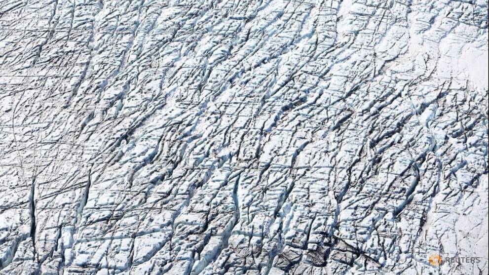 Frozen and desolate Antarctica once boasted warm, swampy rainforests