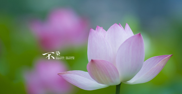 实不相瞒：4月上旬，财旺福气旺，3大属相生肖事业腾达，不愁没钱花
