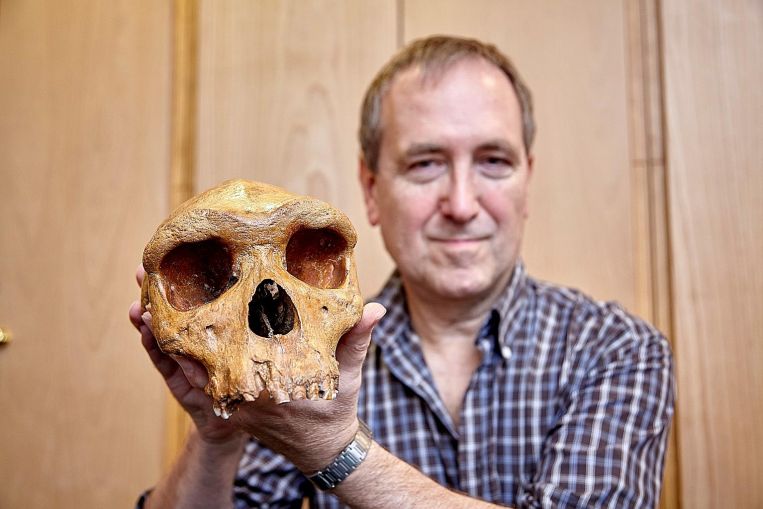 Dating of landmark skull fossil offers new clues to human origins