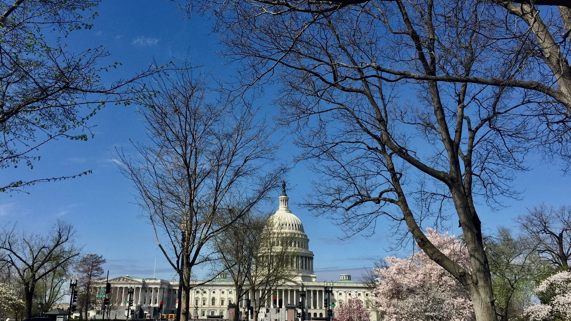 US student loan payments are suspended for six months, with many exceptions
