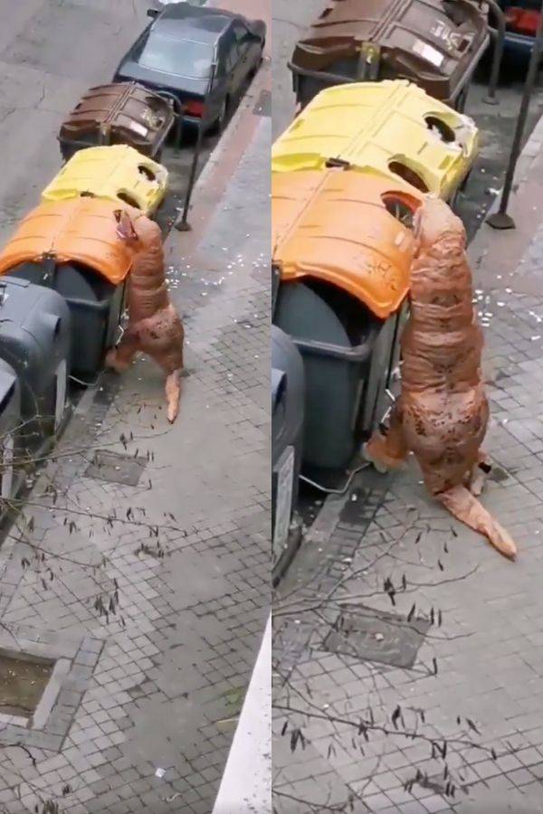 西班牙人穿上暴龙装在街上熘达被警方驱赶！网民：最佳防疫装！
