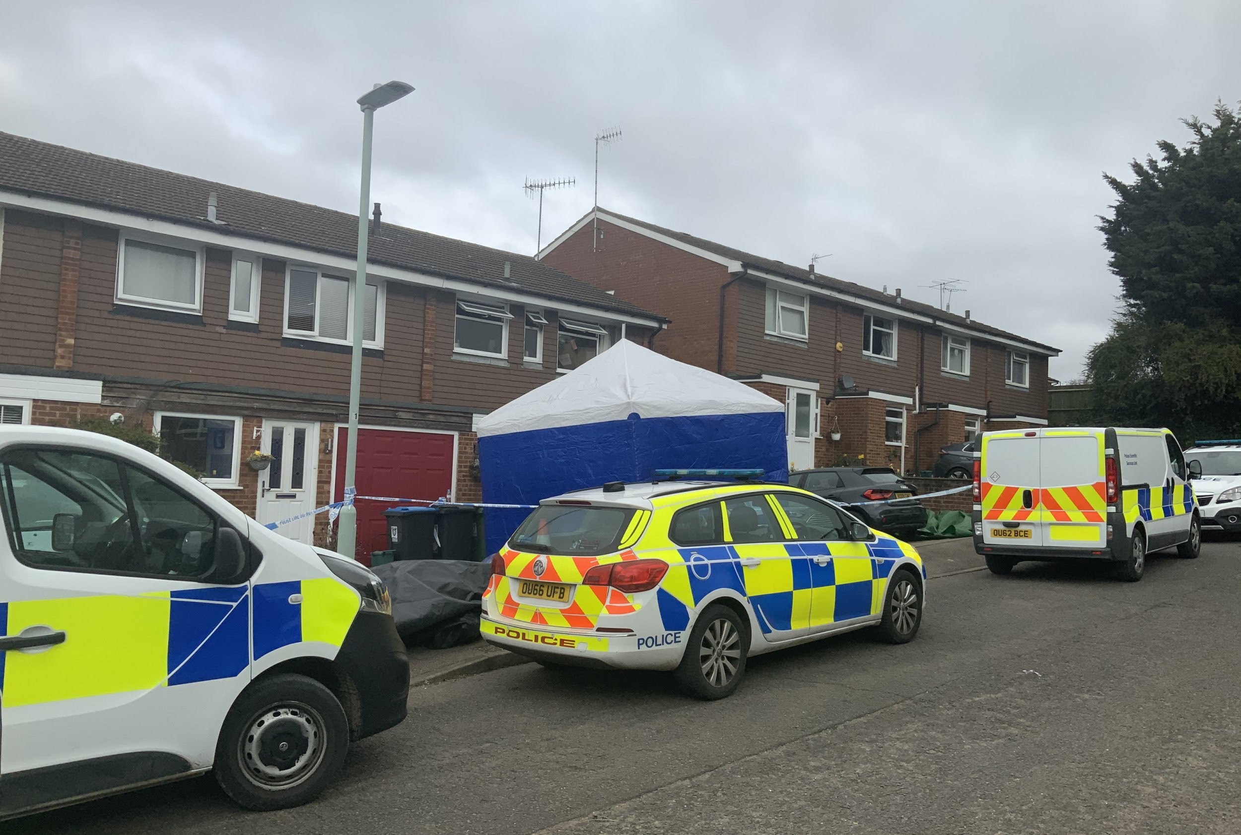 Mum and daughter stabbed to death before dad died in house fire