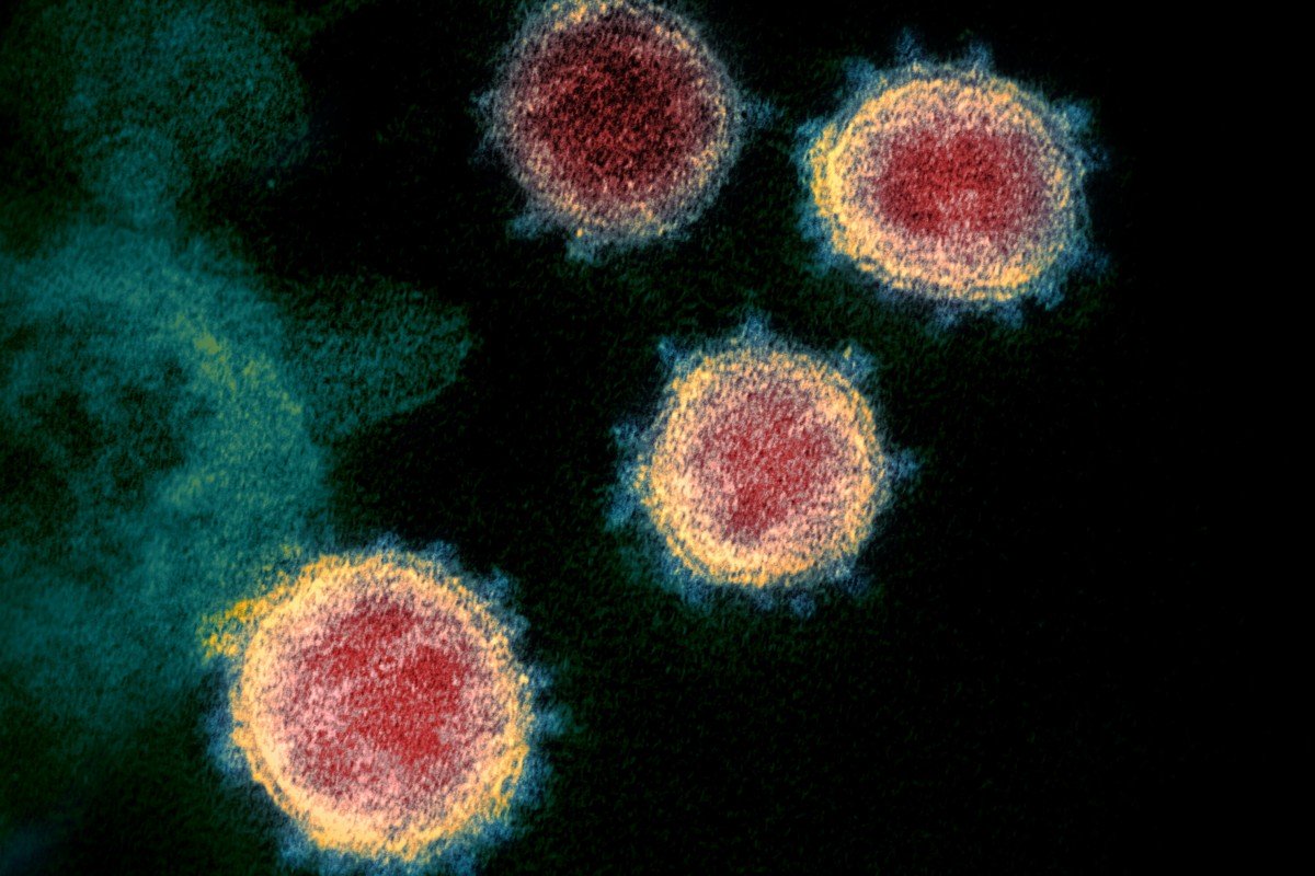 Coronavirus: US researchers develop possible vaccine with novel injection technology