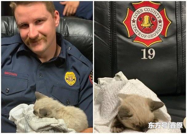 美乔治亚州流浪小猫困屋顶获救，消防员爱心爆棚争相照顾！