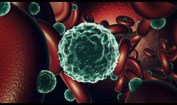 Coronavirus panic: 'More and more younger people' being struck down - WHO warning