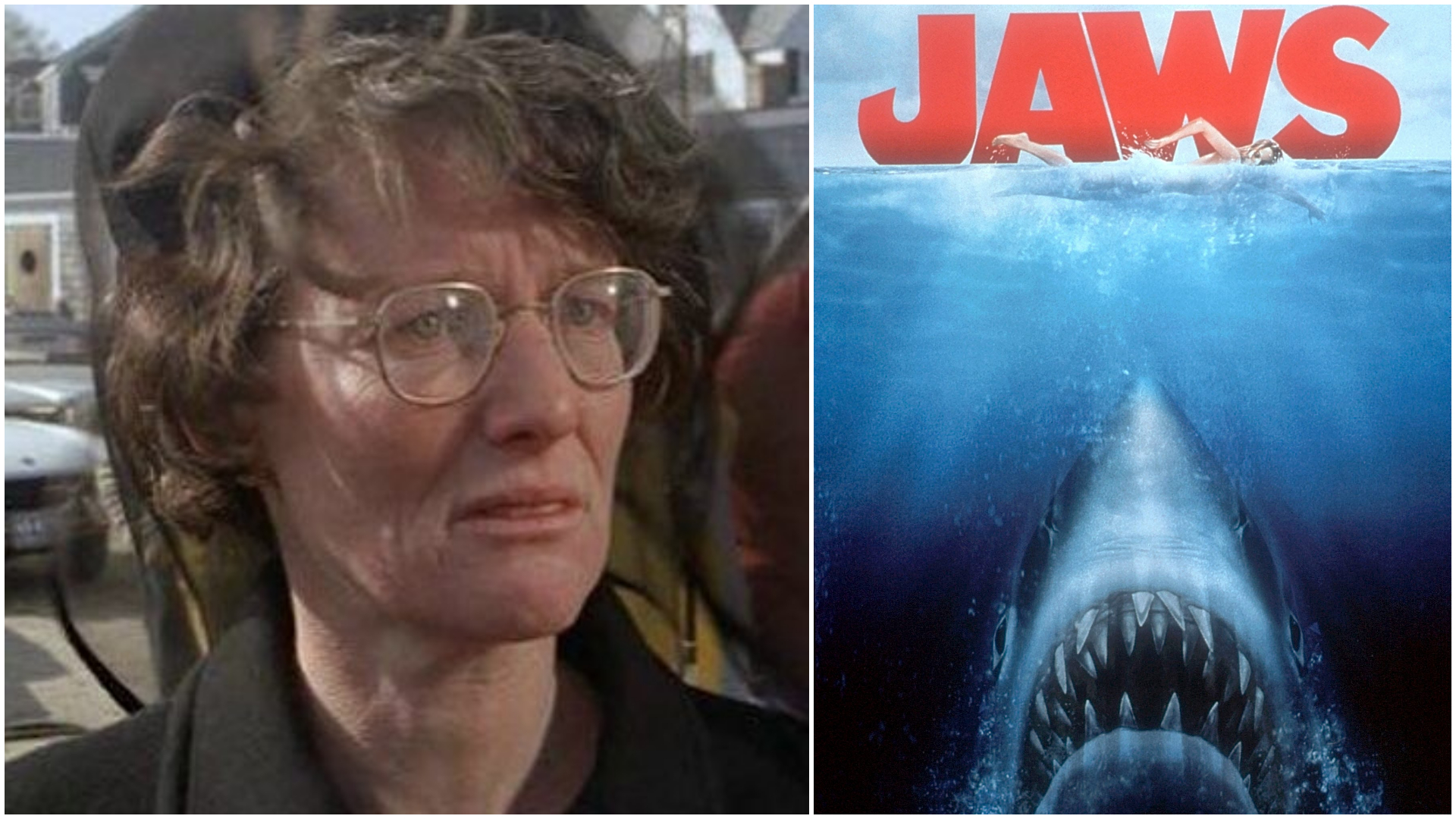 “Jaws”女星Lee Fierro感染冠病逝世　享耆寿91岁