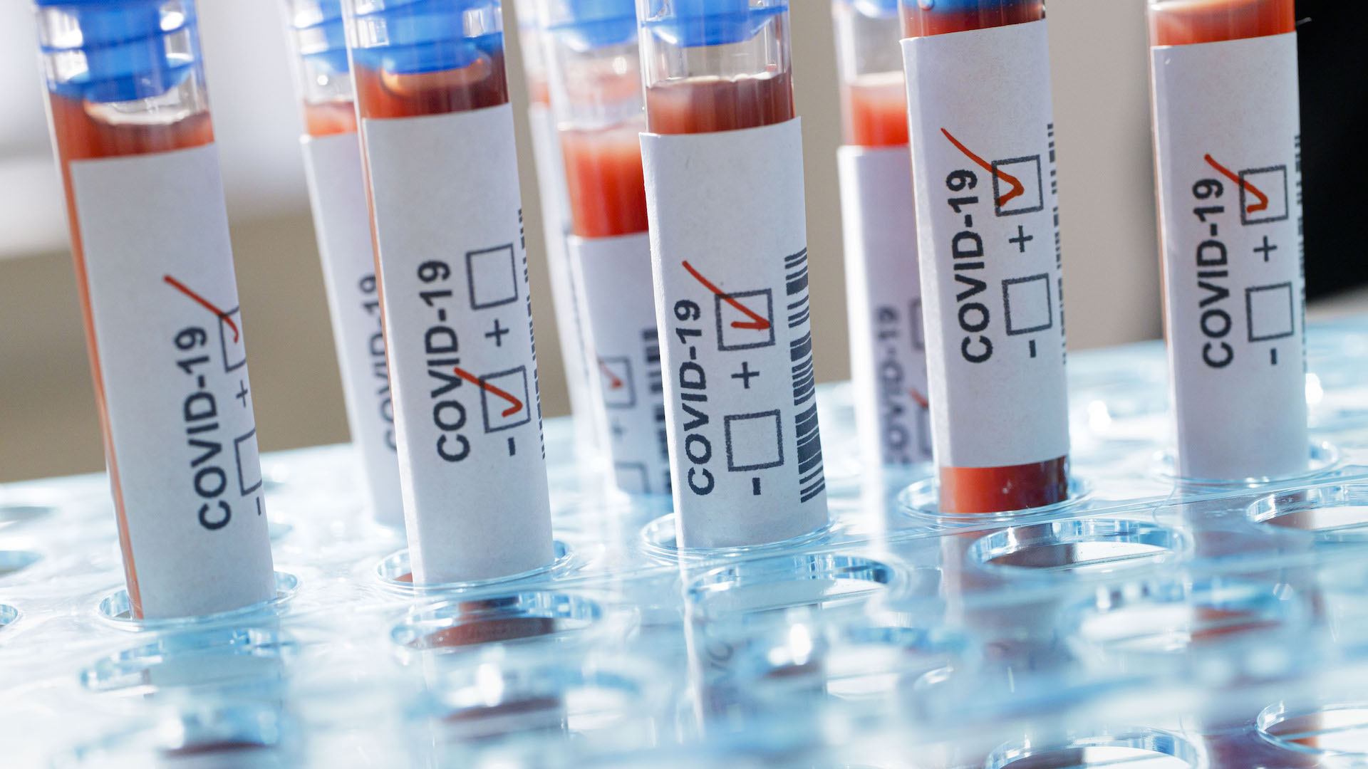 Illinois Man Reportedly Shot and Killed Partner and Himself Amid Fear They Had Coronavirus