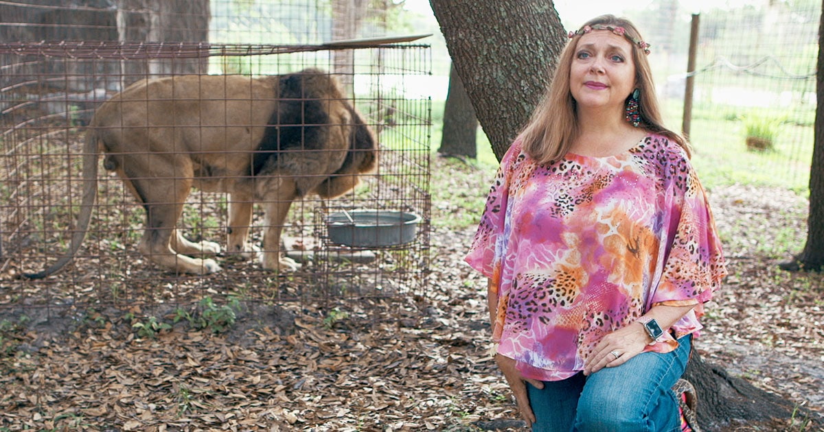 There’s Going To Be A ‘Tiger King’ Sequel About Carole Baskin’s Missing Husband