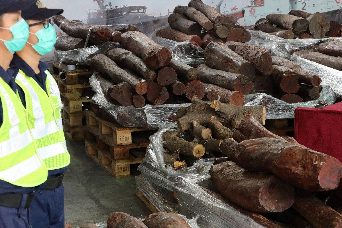 Hong Kong customs officers seize HK$5.5 million worth of endangered red sandalwood bound for mainland China