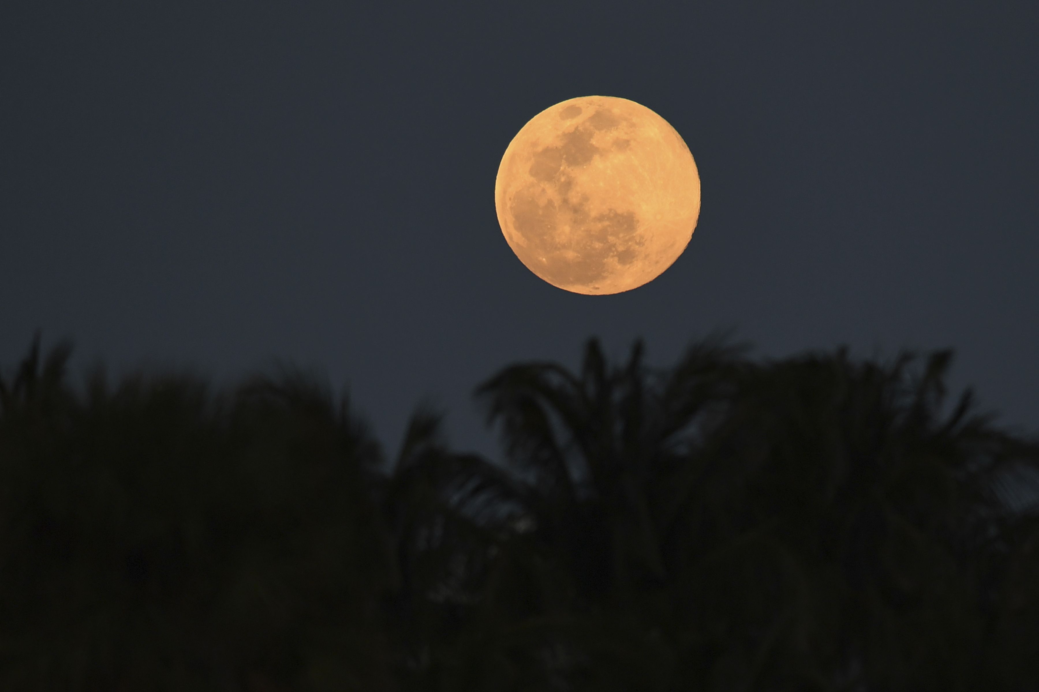 Pink supermoon seen around the world