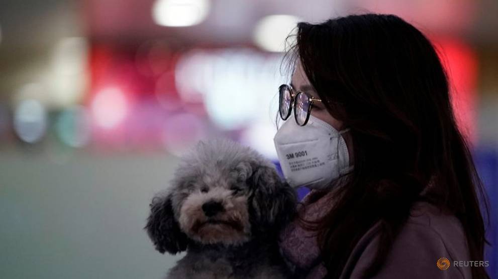 China reclassifies dogs as pets, not livestock, in post-coronavirus regulatory push