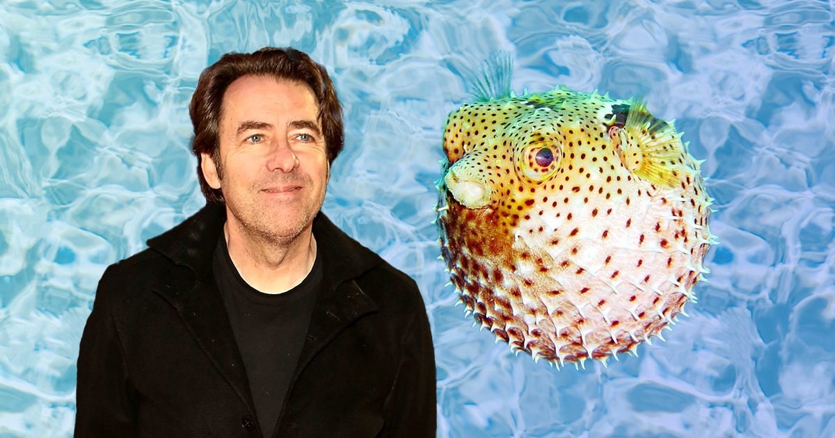 Jonathan Ross recalls nearly dying after eating pufferfish: ‘A meal that nearly killed me’