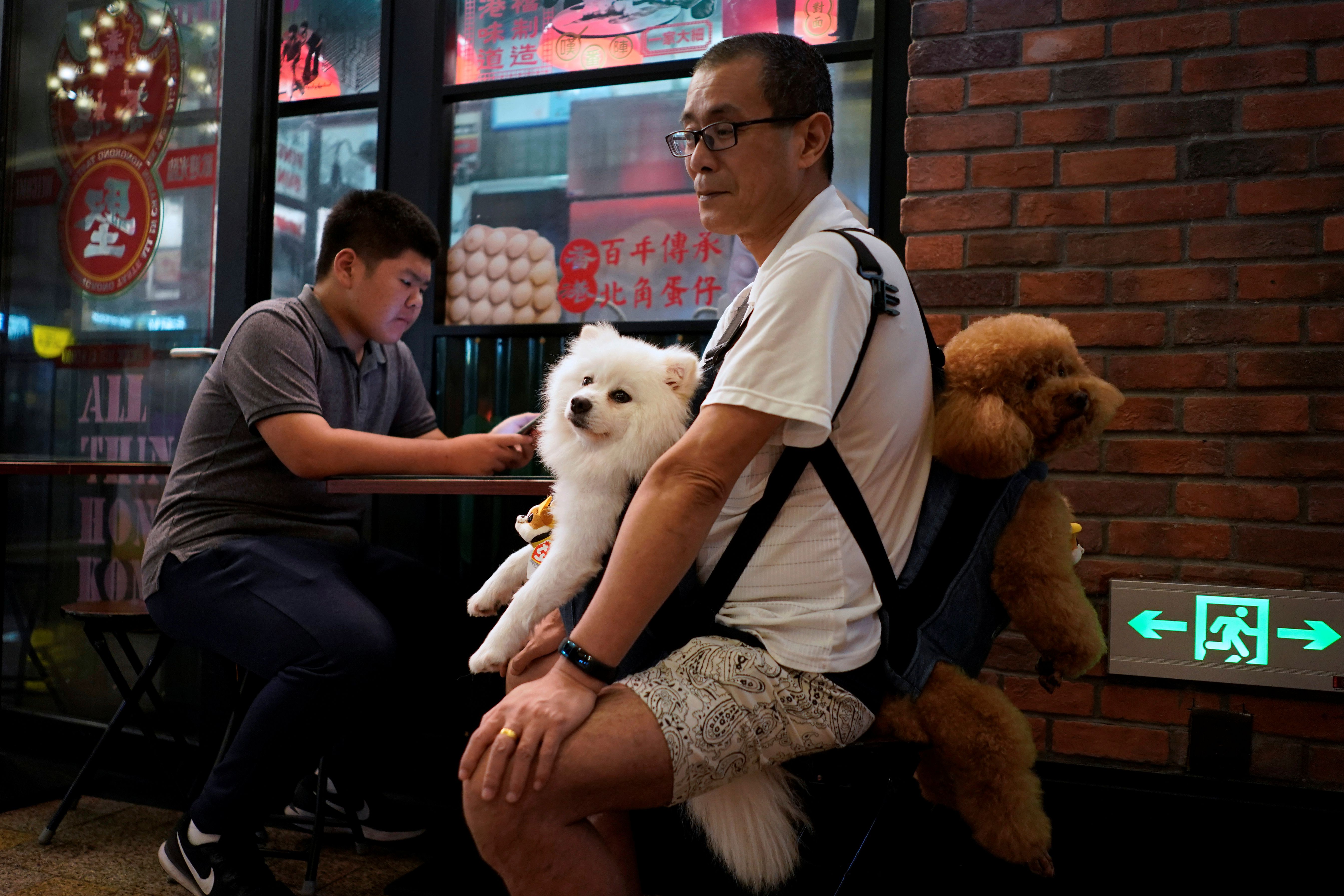 China just upgraded the status of dogs from “livestock” to “pets”