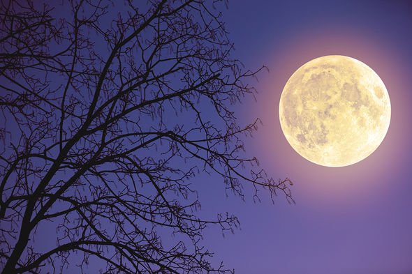 Pink Moon 2020: NASA welcomes the Pink Supermoon - 'Most super' Full Moon this year