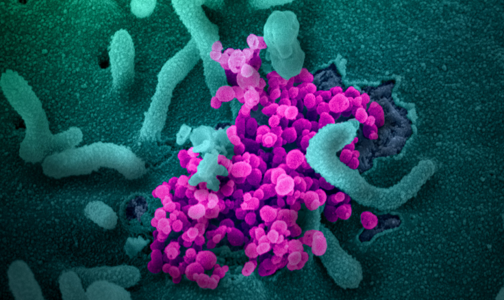 Beijing in 'Wartime Emergency Mode' as Coronavirus Cases Spike Around Another Market