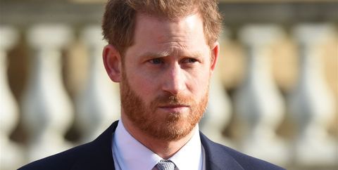 Jane Goodall Says Prince Harry Never Intended to Raise Archie as a Royal
