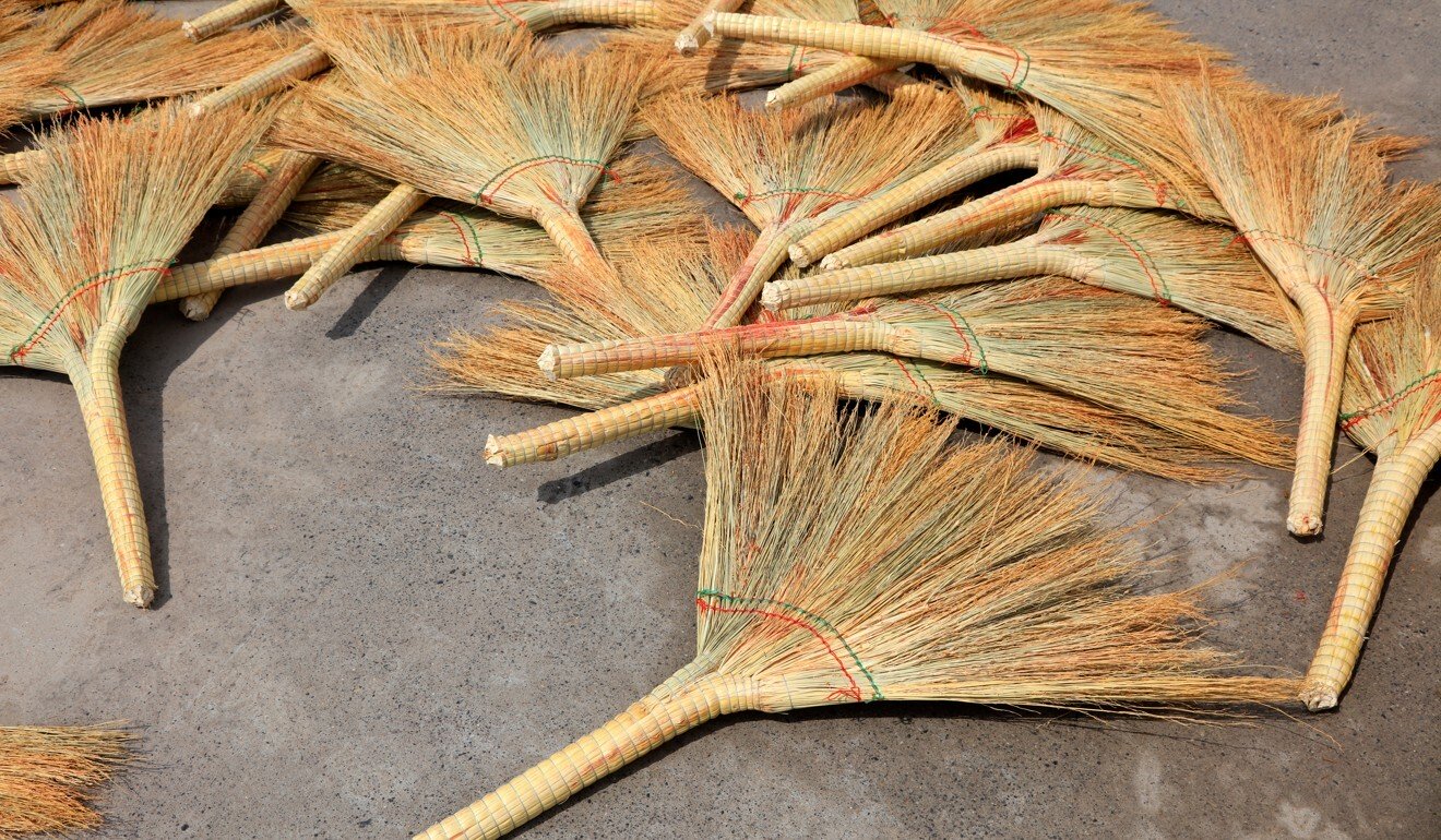How cicadas from China invaded Japan – on broomsticks