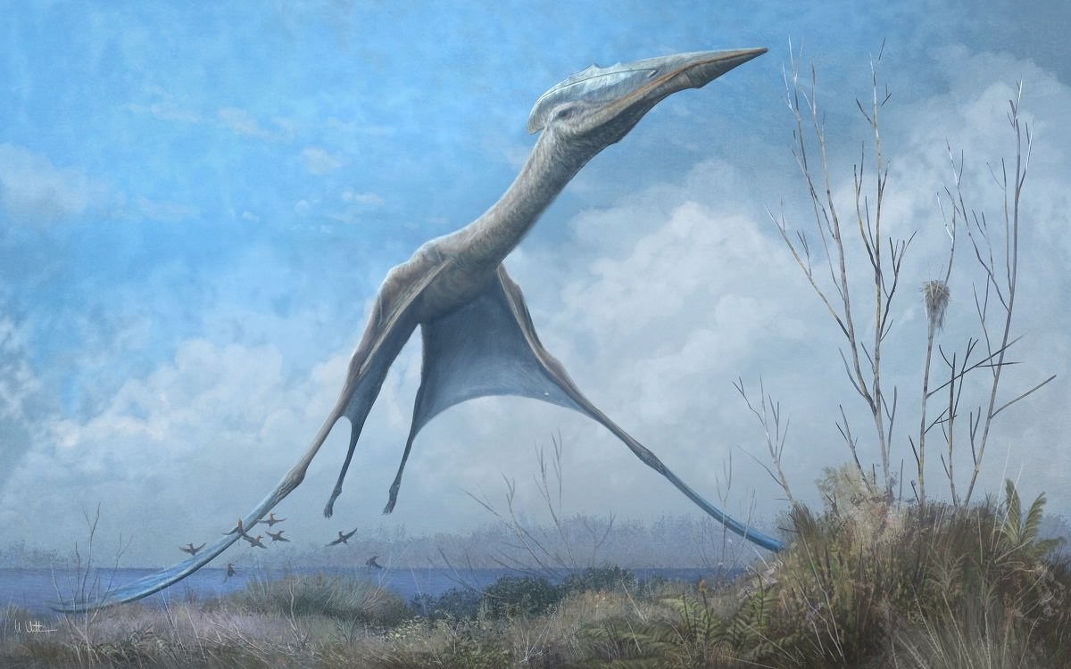 Ancient winged reptiles could be inspiration for new fleet of drones