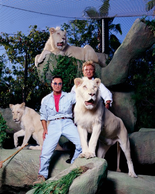 Horrific injuries suffered by Siegfried and Roy star in tiger attack live on stage