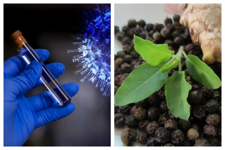 5000-year-old Ayurvedic scripture talked about coronavirus, its nature and treatment, claims doctor