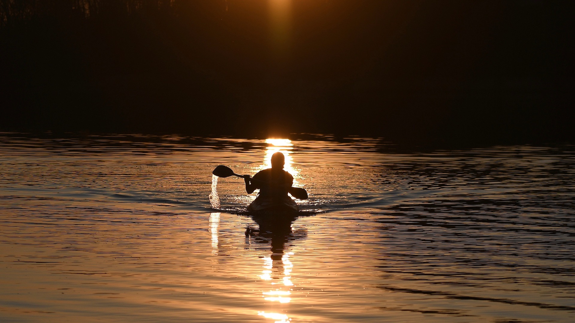 Kayaker Rescued From Island in Jamaica Bay After Spelling 'Help' With Sticks