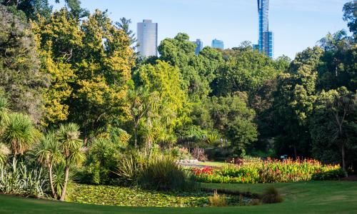 The coronavirus has made me so grateful for city parks. We should fight for them