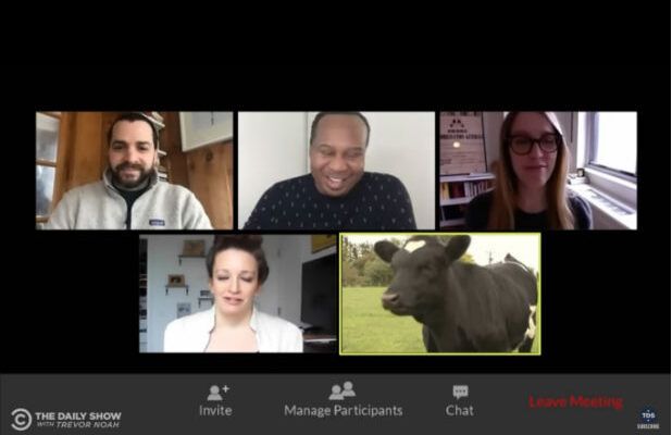 Roy Wood Jr Has an Awkward Exchange With a Cow Coworker in Coronavirus Zoom Call (Video)