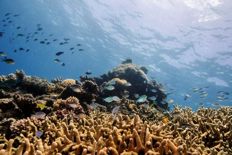 'Cloud brightening' experiment May help cool great barrier reef