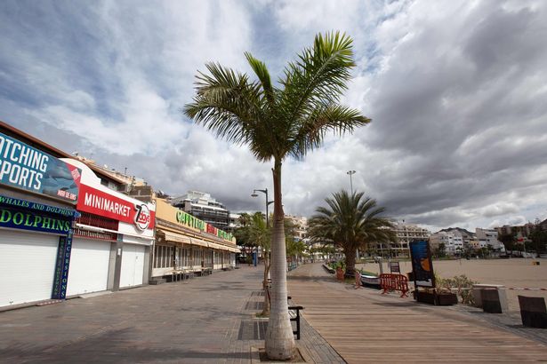 No Tenerife holidays 'until October' as officials 'want locals to have a break first'