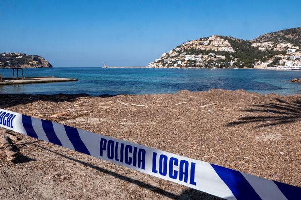 Mallorca vows not to 'throw in the towel' on 2020 holiday season for Brits