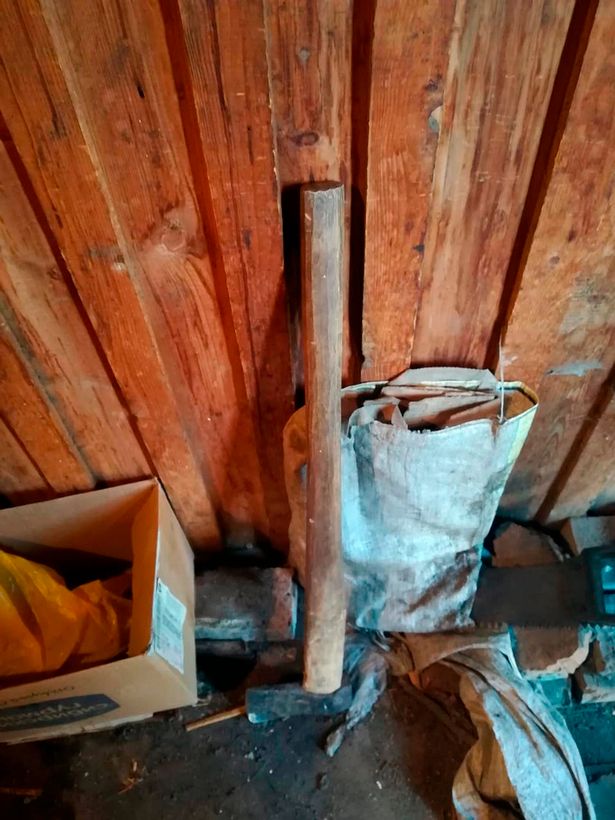 Russian 'Hannibal Lecter' arrested after missing man's penis found in yard