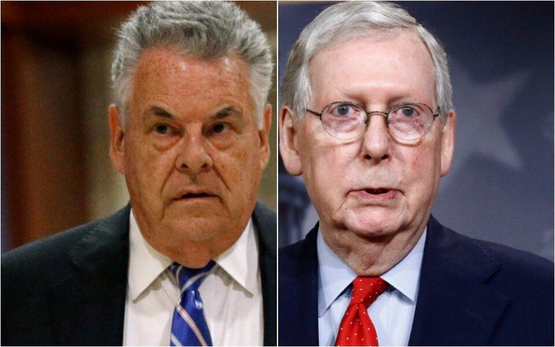 Gop rep. Pete king shreds 'marie antionette' mitch Mcconnell's bankruptcy plan