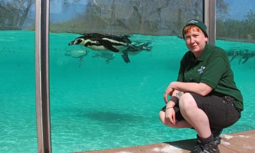 Experience: I live in a zoo