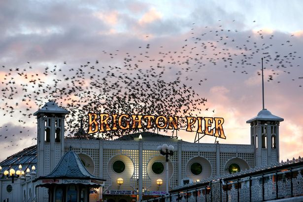 Couple spotted 'having sex' on Brighton Beach in broad daylight despite lockdown