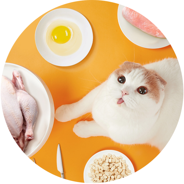 猫粮里的含肉量，你真的算过吗？