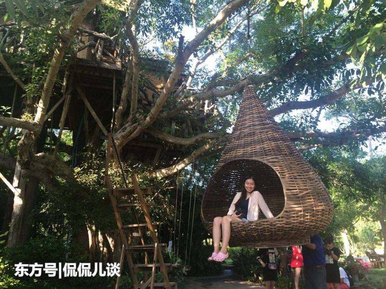 地面没得房屋住，这个小伙直接空中搭个窝
