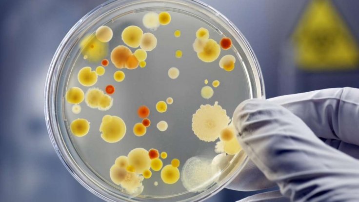This country has passed the peak of coronavirus pandemic, expert reveals