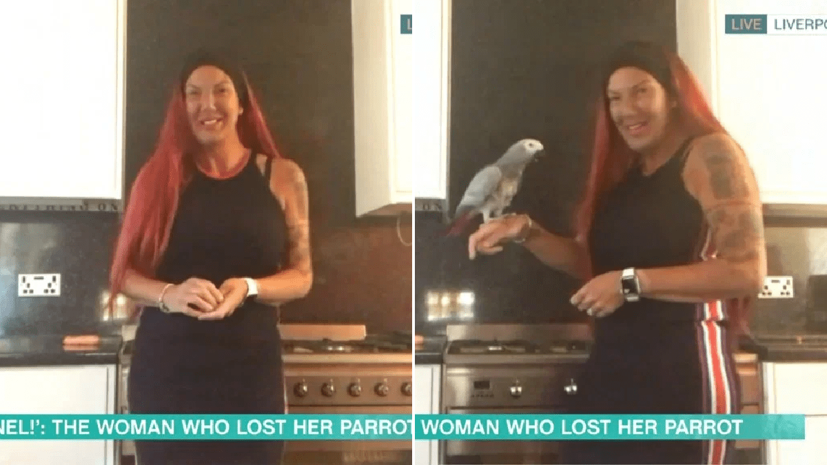 Holly Willoughby and Phillip Schofield keel over as viral sensation reveals why iconic parrot is called Chanel