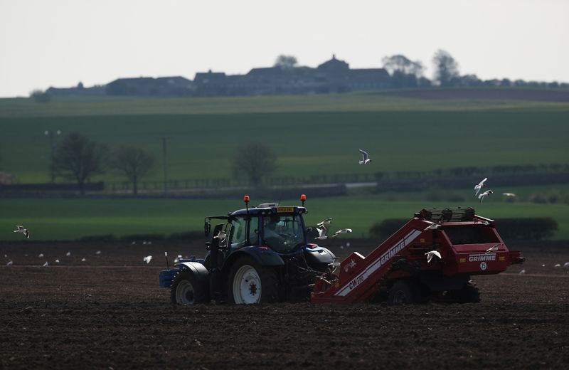 Thousands of british workers will need to gather the harvest