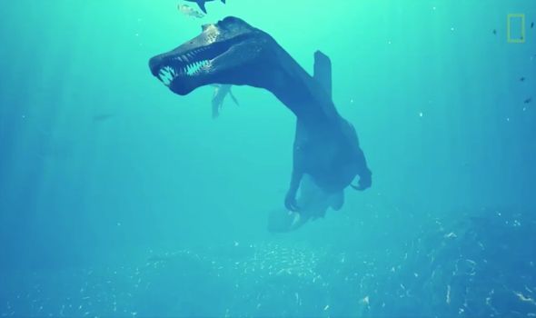 Dinosaur discovery: 50-foot-long swimming dinosaur makes history in bizarre way