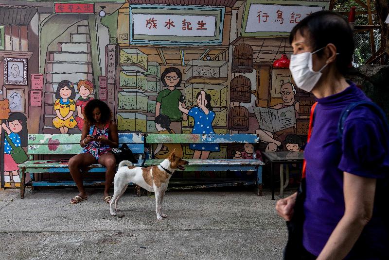港大教授透露港府‧打算向全民派发口罩