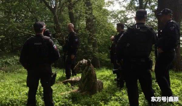 英国居民区报警有老虎出没，当地警方重装到场才发现误会大了！
