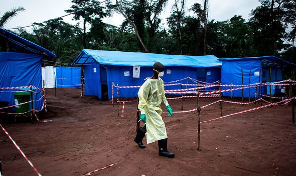 Ebola panic: ‘Devastating’ similarities between disease and coronavirus exposed