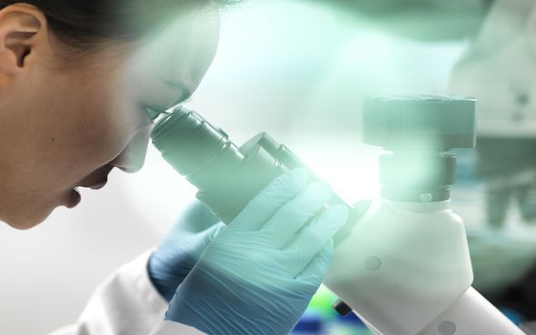 Scientists find new coronavirus strain that could be even more infectious