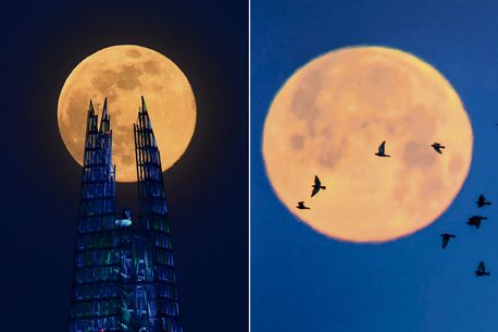 Super Flower Moon will appear tonight - what time to see the final supermoon of 2020